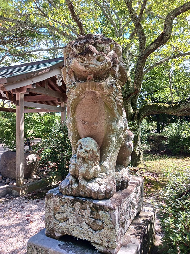 御井神社の狛犬