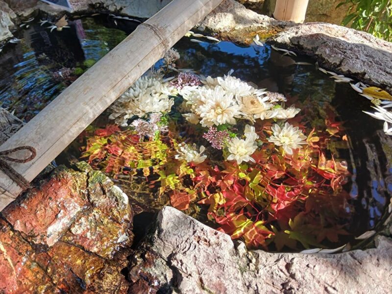 阿智神社の手水舎