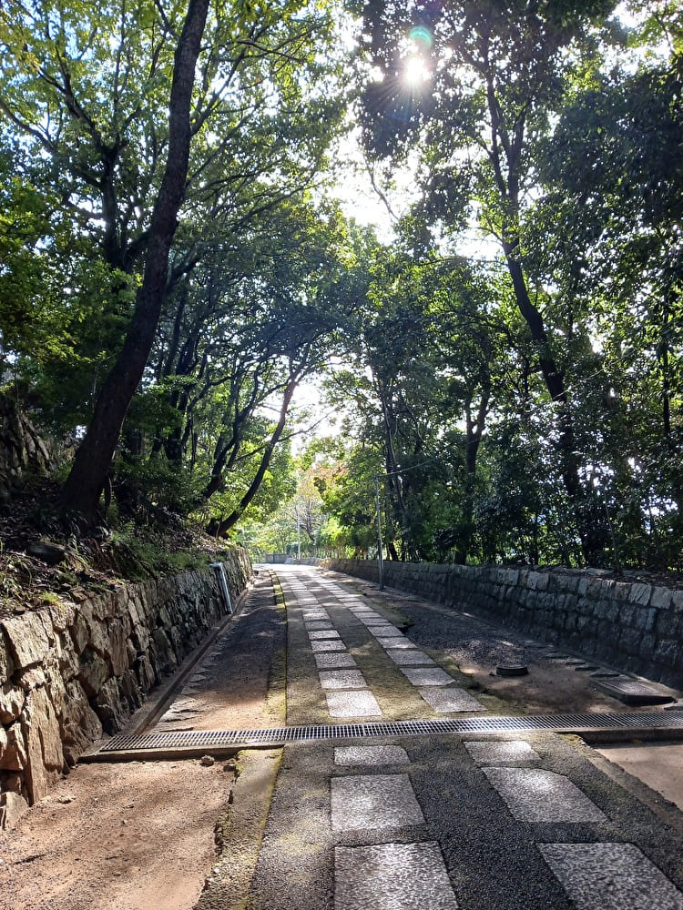 阿智神社の参道